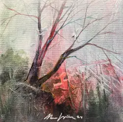 Kompozisyon