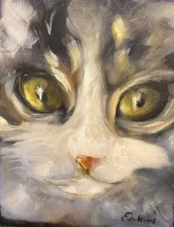 Kedi