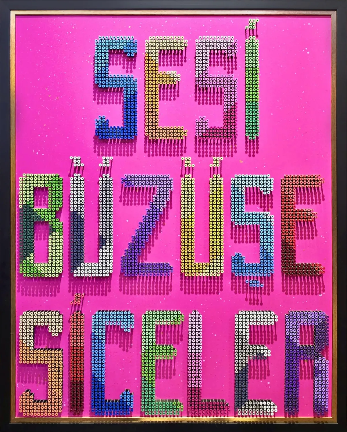 Sesibüzüşesiceler