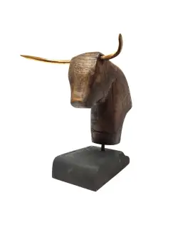 Boğa