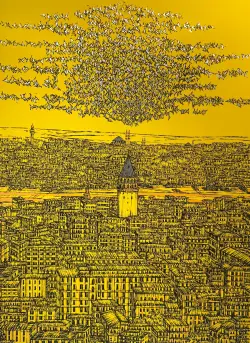 İstanbul Galata ve Kuşlar